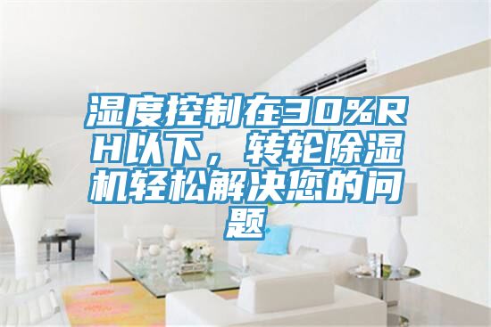 濕度控制在30%RH以下，轉(zhuǎn)輪除濕機輕松解決您的問題