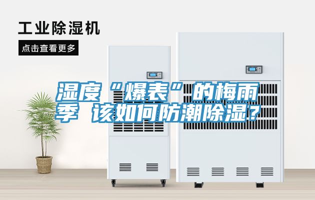 濕度“爆表”的梅雨季 該如何防潮除濕？