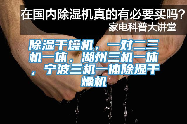 除濕干燥機，一對二三機一體，湖州三機一體，寧波三機一體除濕干燥機