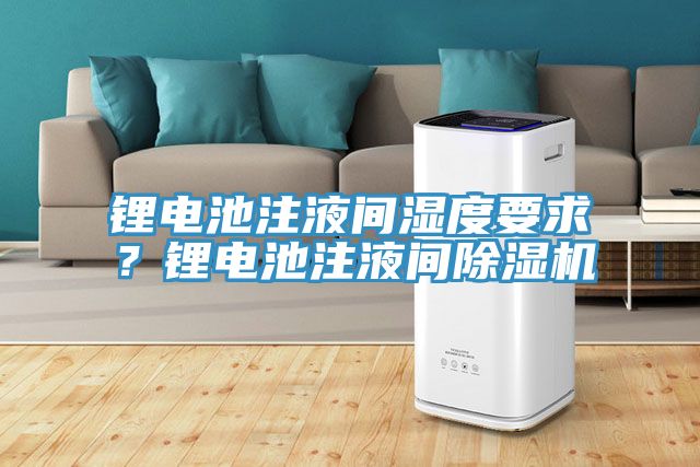 鋰電池注液間濕度要求？鋰電池注液間除濕機(jī)