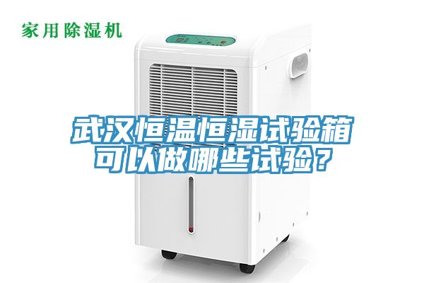 武漢恒溫恒濕試驗箱可以做哪些試驗？