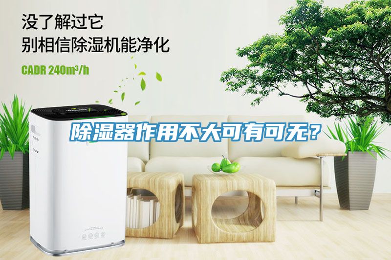 除濕器作用不大可有可無(wú)？