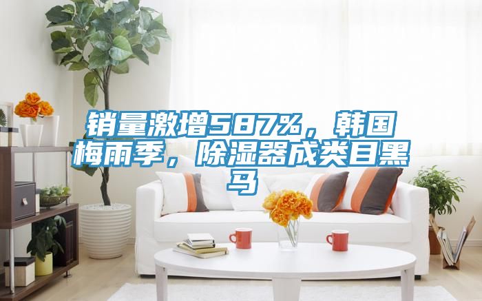 銷量激增587%，韓國(guó)梅雨季，除濕器成類目黑馬