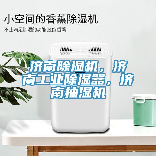 濟(jì)南除濕機(jī)，濟(jì)南工業(yè)除濕器，濟(jì)南抽濕機(jī)