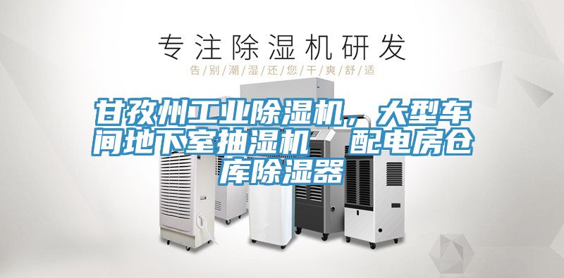 甘孜州工業(yè)除濕機，大型車間地下室抽濕機  配電房倉庫除濕器