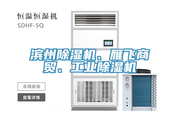 濱州除濕機(jī)、雁飛商貿(mào)、工業(yè)除濕機(jī)