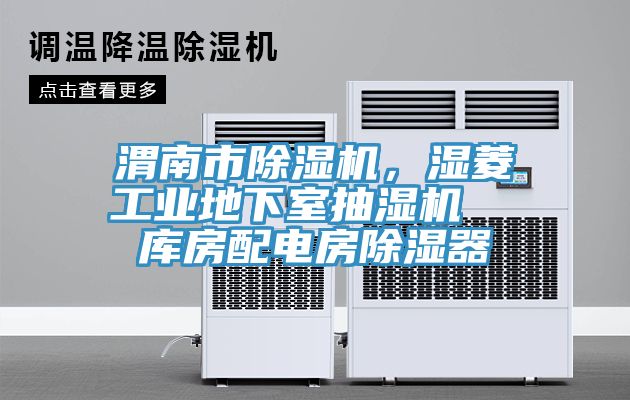 渭南市除濕機，濕菱工業(yè)地下室抽濕機  庫房配電房除濕器