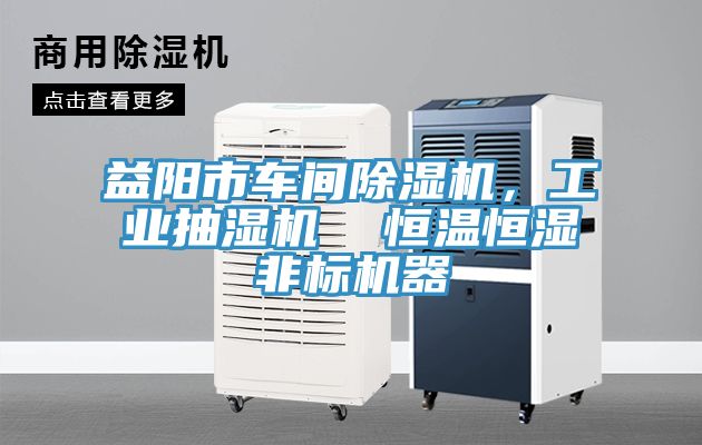 益陽市車間除濕機(jī)，工業(yè)抽濕機(jī)  恒溫恒濕非標(biāo)機(jī)器