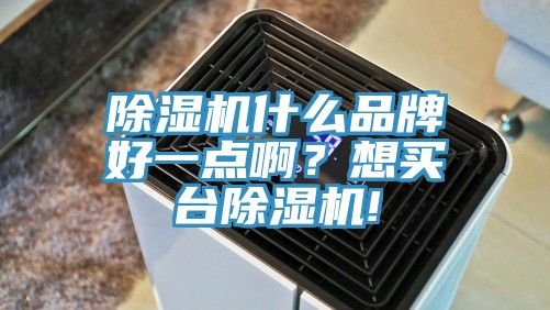 除濕機(jī)什么品牌好一點(diǎn)??？想買臺(tái)除濕機(jī)!