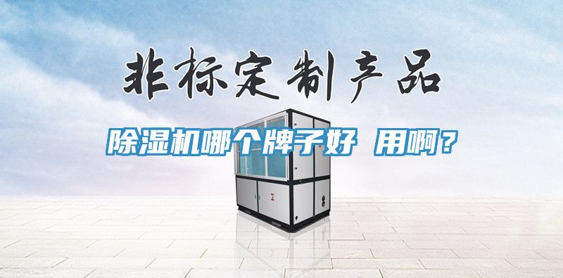 除濕機(jī)哪個牌子好 用?。?></div>
								<div   id=