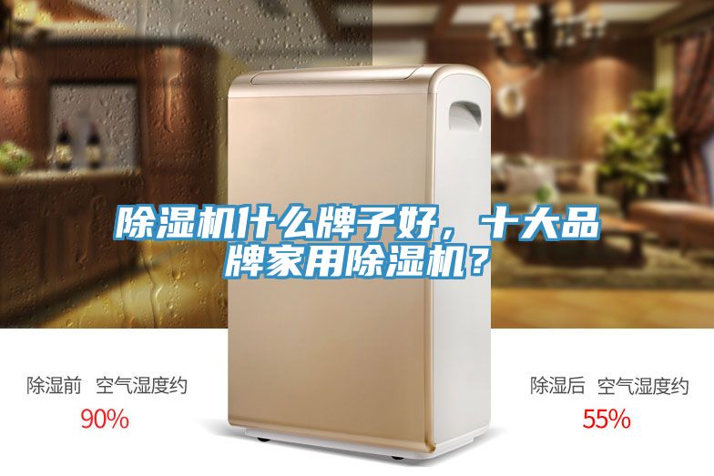 除濕機(jī)什么牌子好，十大品牌家用除濕機(jī)？