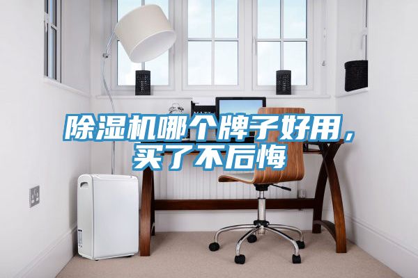 除濕機哪個牌子好用，買了不后悔