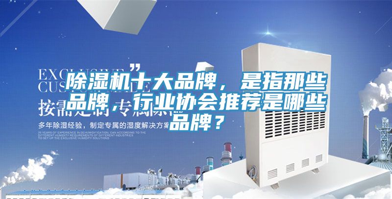 除濕機(jī)十大品牌，是指那些品牌，行業(yè)協(xié)會(huì)推薦是哪些品牌？