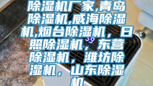 除濕機(jī)廠家,青島除濕機(jī),威海除濕機(jī),煙臺除濕機(jī)，日照除濕機(jī)，東營除濕機(jī)，濰坊除濕機(jī)，山東除濕機(jī)