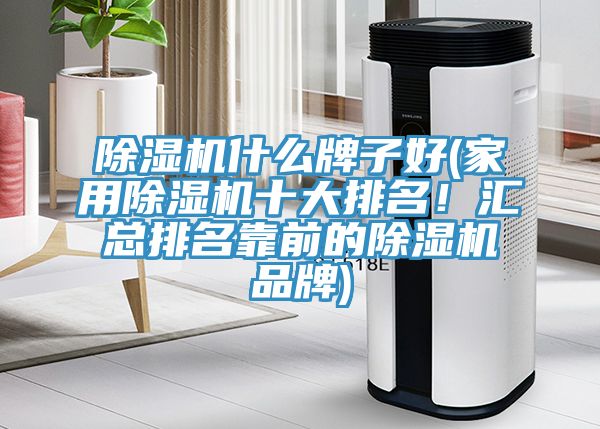 除濕機(jī)什么牌子好(家用除濕機(jī)十大排名！匯總排名靠前的除濕機(jī)品牌)