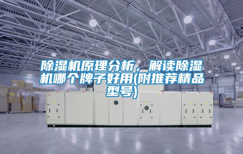 除濕機(jī)原理分析，解讀除濕機(jī)哪個(gè)牌子好用(附推薦精品型號)