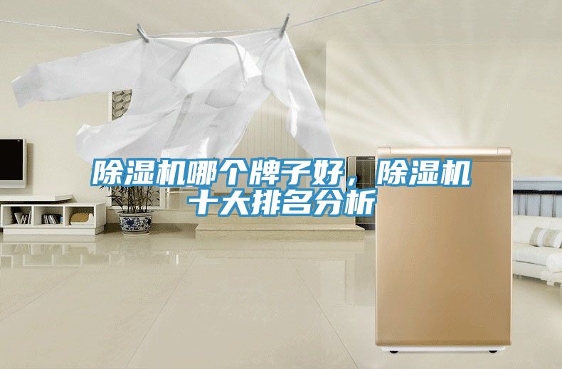 除濕機哪個牌子好，除濕機十大排名分析