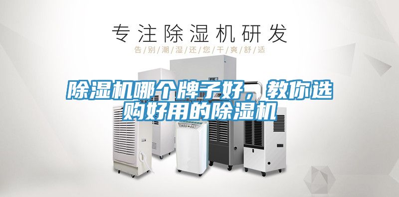 除濕機哪個牌子好，教你選購好用的除濕機