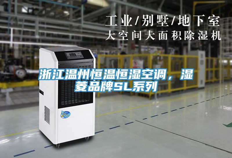 浙江溫州恒溫恒濕空調(diào)，濕菱品牌SL系列