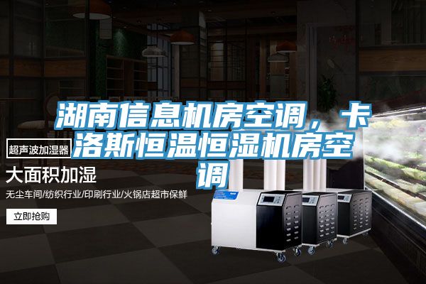 湖南信息機(jī)房空調(diào)，卡洛斯恒溫恒濕機(jī)房空調(diào)