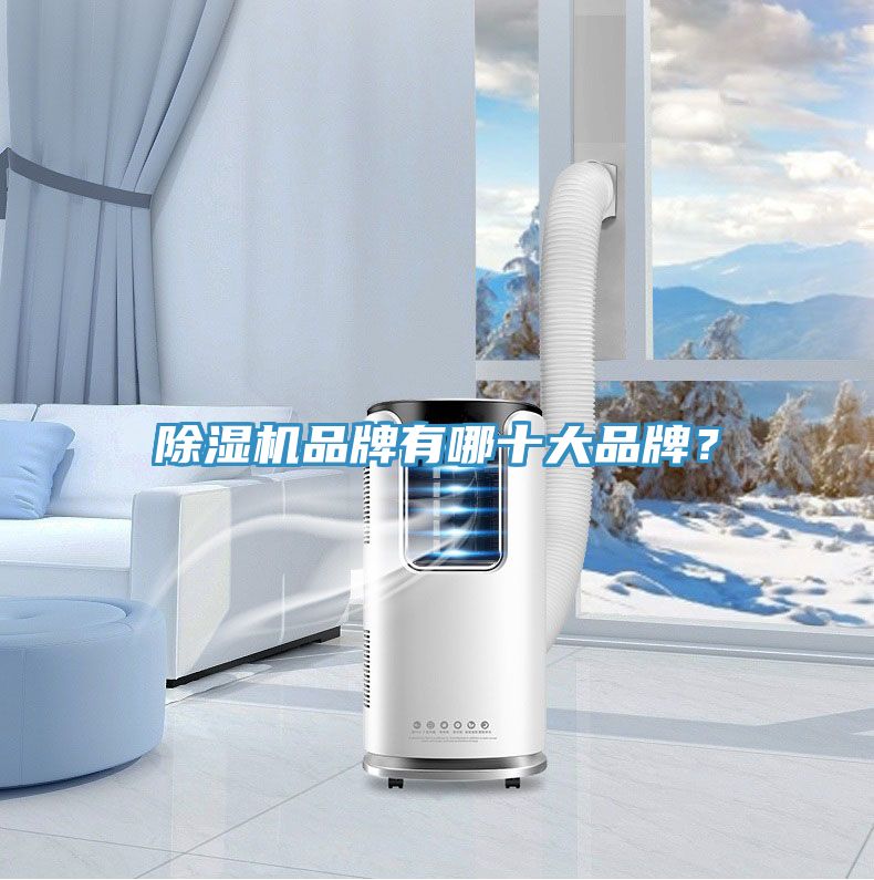 除濕機(jī)品牌有哪十大品牌？