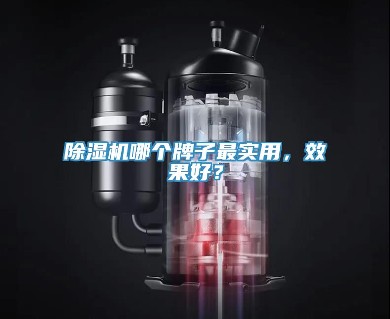 除濕機哪個牌子最實用，效果好？