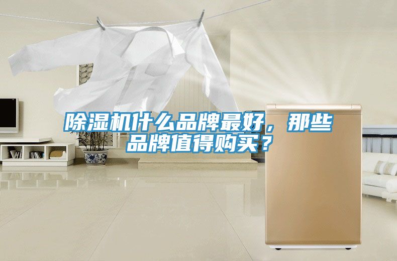 除濕機(jī)什么品牌最好，那些品牌值得購(gòu)買？
