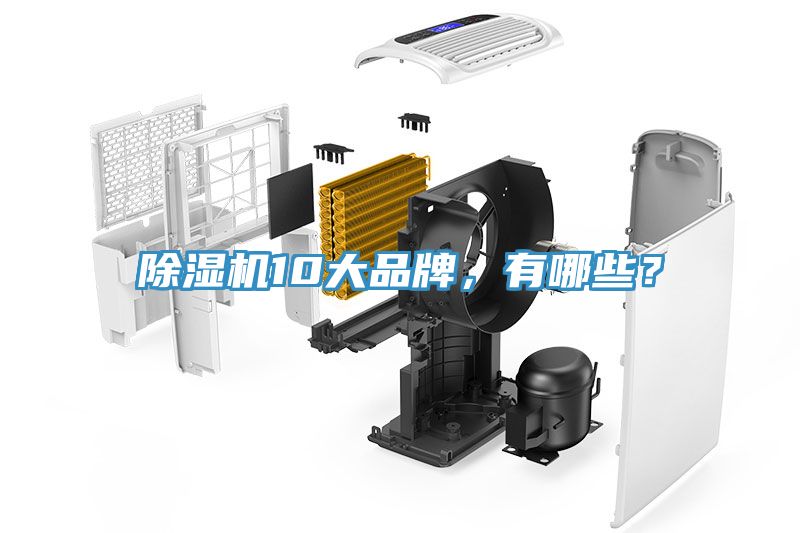 除濕機(jī)10大品牌，有哪些？