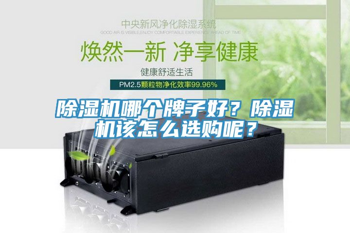 除濕機(jī)哪個(gè)牌子好？除濕機(jī)該怎么選購呢？