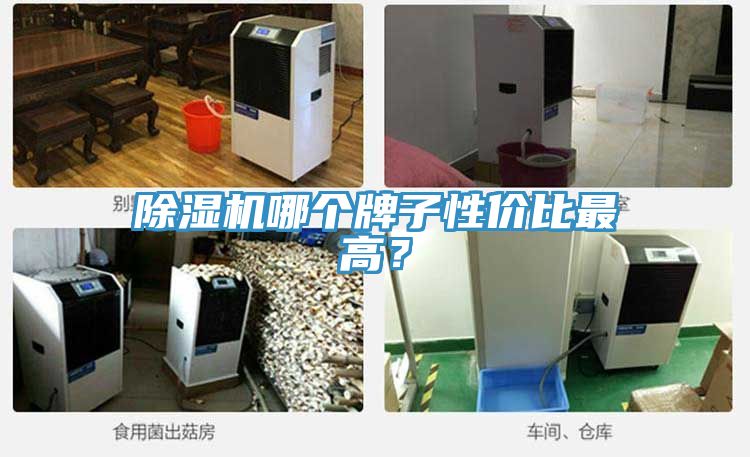 除濕機(jī)哪個(gè)牌子性價(jià)比最高？