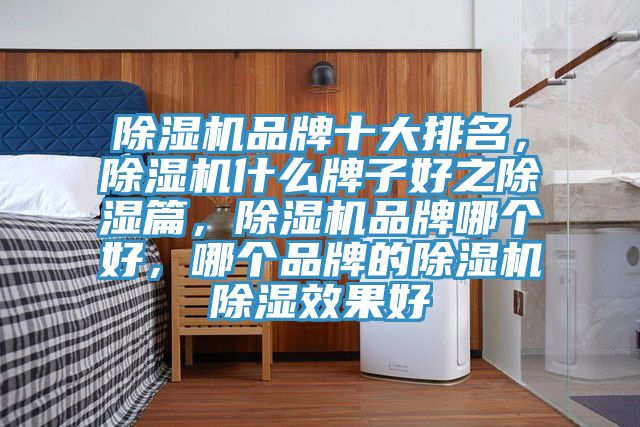 除濕機品牌十大排名，除濕機什么牌子好之除濕篇，除濕機品牌哪個好，哪個品牌的除濕機除濕效果好