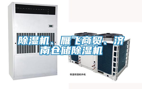 除濕機、雁飛商貿(mào)、濟南倉儲除濕機