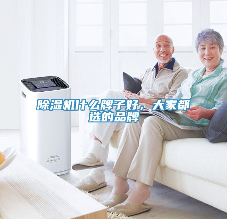 除濕機(jī)什么牌子好，大家都選的品牌