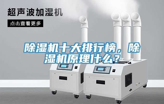 除濕機(jī)十大排行榜，除濕機(jī)原理什么？