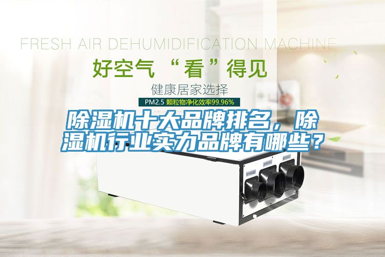 除濕機十大品牌排名，除濕機行業(yè)實力品牌有哪些？