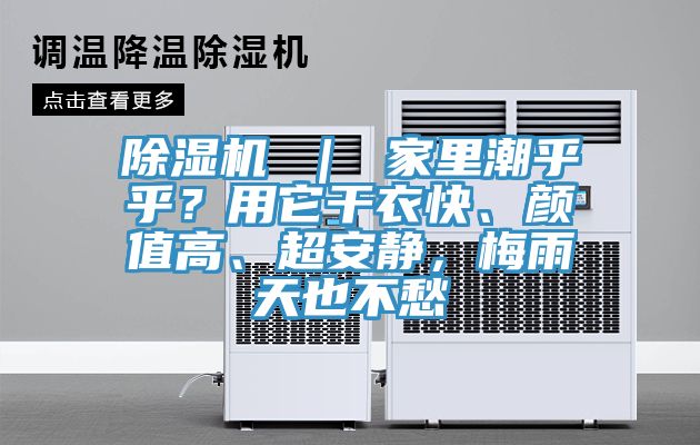 除濕機 ｜ 家里潮乎乎？用它干衣快、顏值高、超安靜，梅雨天也不愁