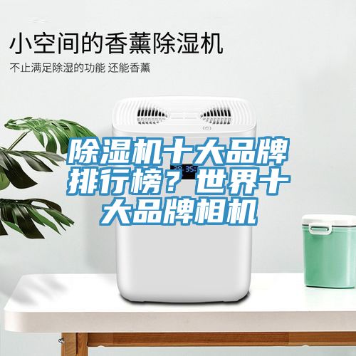 除濕機十大品牌排行榜？世界十大品牌相機