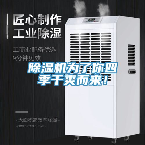 除濕機(jī)為了你四季干爽而來(lái)！