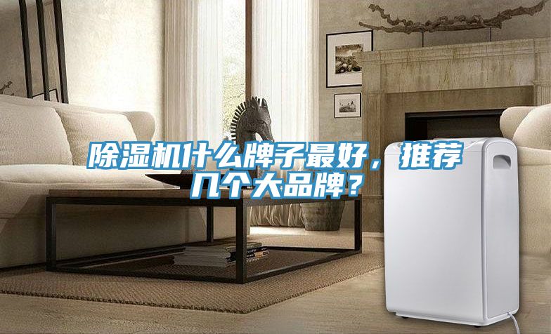 除濕機(jī)什么牌子最好，推薦幾個大品牌？