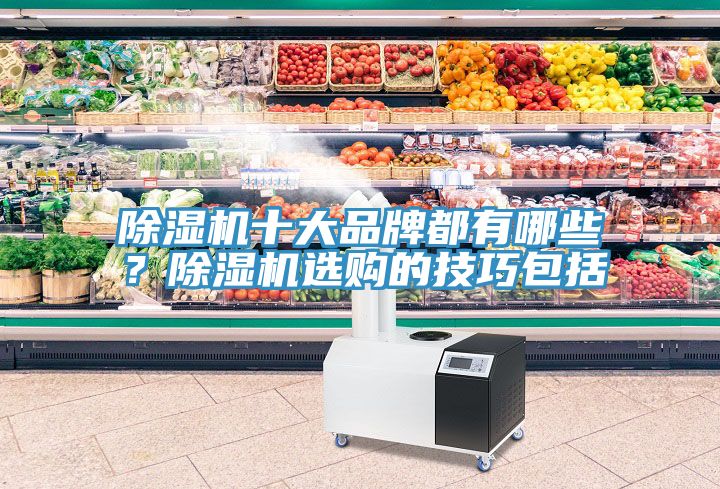 除濕機(jī)十大品牌都有哪些？除濕機(jī)選購(gòu)的技巧包括