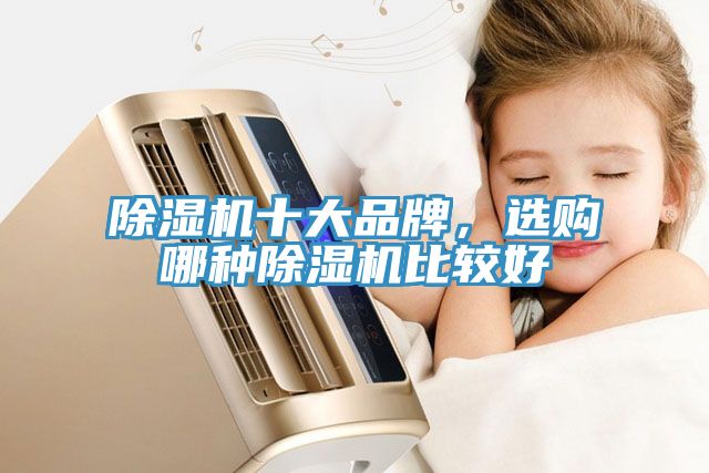 除濕機(jī)十大品牌，選購(gòu)哪種除濕機(jī)比較好