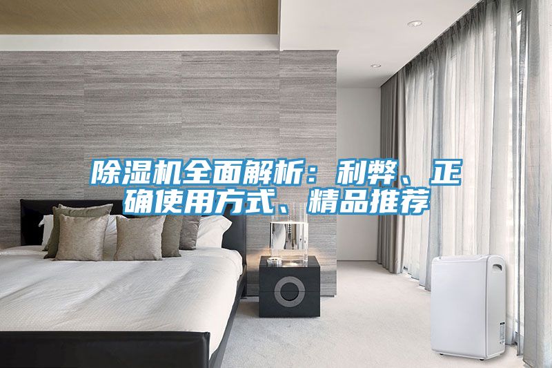 除濕機(jī)全面解析：利弊、正確使用方式、精品推薦
