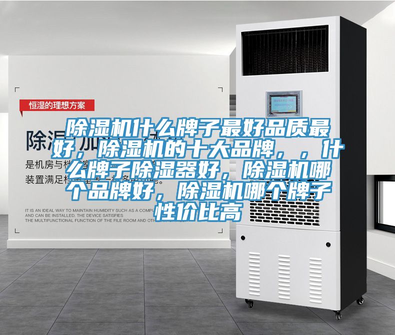 除濕機(jī)什么牌子最好品質(zhì)最好，除濕機(jī)的十大品牌，，什么牌子除濕器好，除濕機(jī)哪個品牌好，除濕機(jī)哪個牌子性價比高