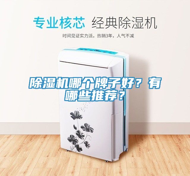 除濕機哪個牌子好？有哪些推薦？