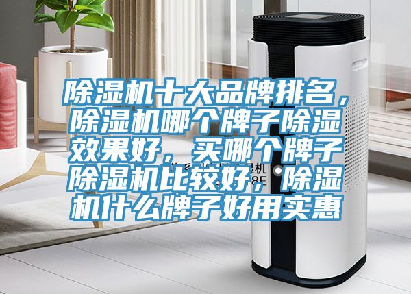 除濕機十大品牌排名，除濕機哪個牌子除濕效果好，買哪個牌子除濕機比較好，除濕機什么牌子好用實惠
