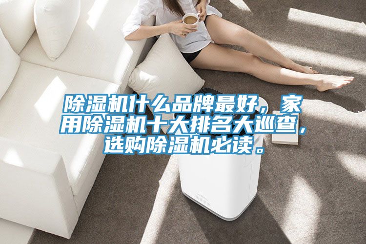 除濕機(jī)什么品牌最好，家用除濕機(jī)十大排名大巡查，選購(gòu)除濕機(jī)必讀。