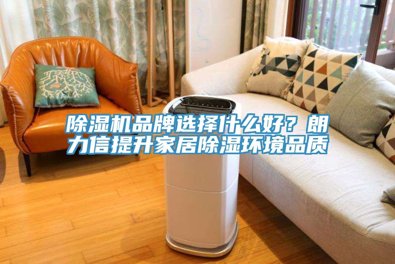 除濕機(jī)品牌選擇什么好？朗力信提升家居除濕環(huán)境品質(zhì)