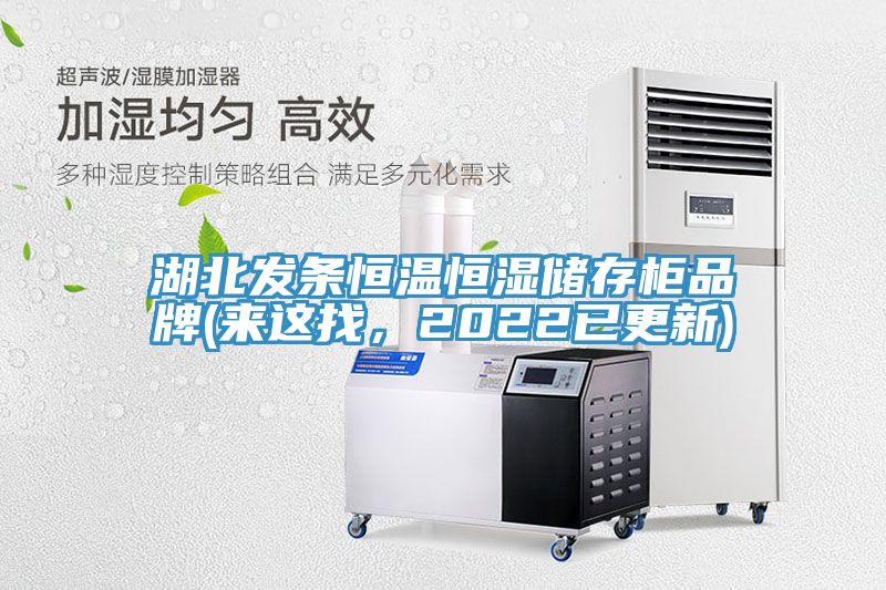 湖北發(fā)條恒溫恒濕儲存柜品牌(來這找，2022已更新)