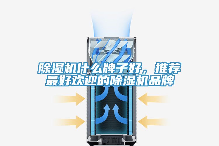 除濕機(jī)什么牌子好，推薦最好歡迎的除濕機(jī)品牌
