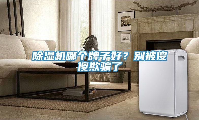 除濕機哪個牌子好？別被傻傻欺騙了